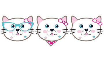 Miss Cat Karton Parti Maskesi 6 Adet