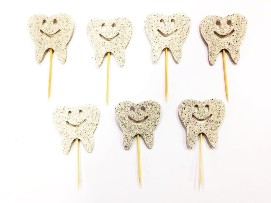 Simli Eva Diş Kürdan Gümüş 12 Adet