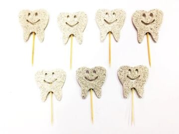 Simli Eva Diş Kürdan Gümüş 12 Adet