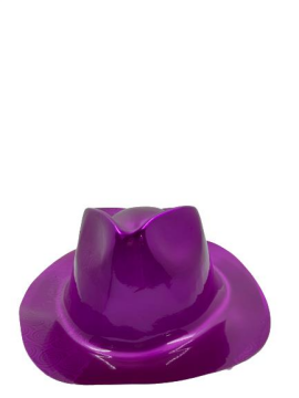 HOLOGRAMLI PLASTİK FÖTR ŞAPKA