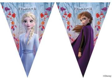 FROZEN 2 BAYRAK SET