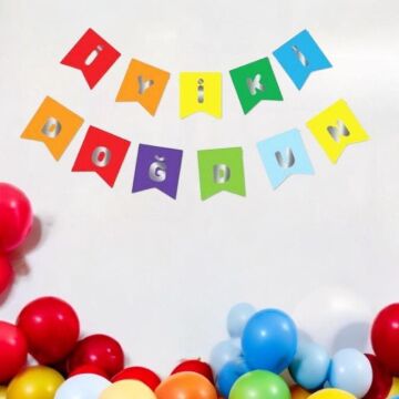 RENKLİ İYİKİ DOĞDUN BANNER GÜMÜŞ YAZILI (ERA)