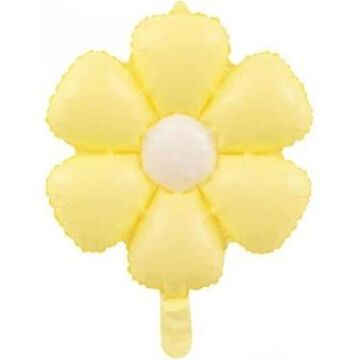 SARI PAPATYA FOLYO BALON 77*66 CM