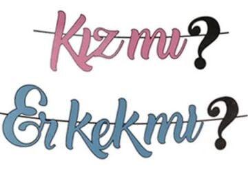 KIZ MI ERKEK Mİ KALİGRAFİ BANNER