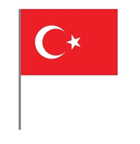Türk Bayrağı Kağıt Sopalı 50 Adet 20X30 Cm