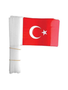 Türk Bayrağı Kağıt Sopalı 100 Adet 15X21 Cm