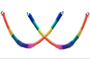 Karışık Akordion Süs