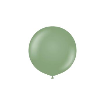 Retro Renk 18'' Balon Okaliptus Renk ( 5 Adet )