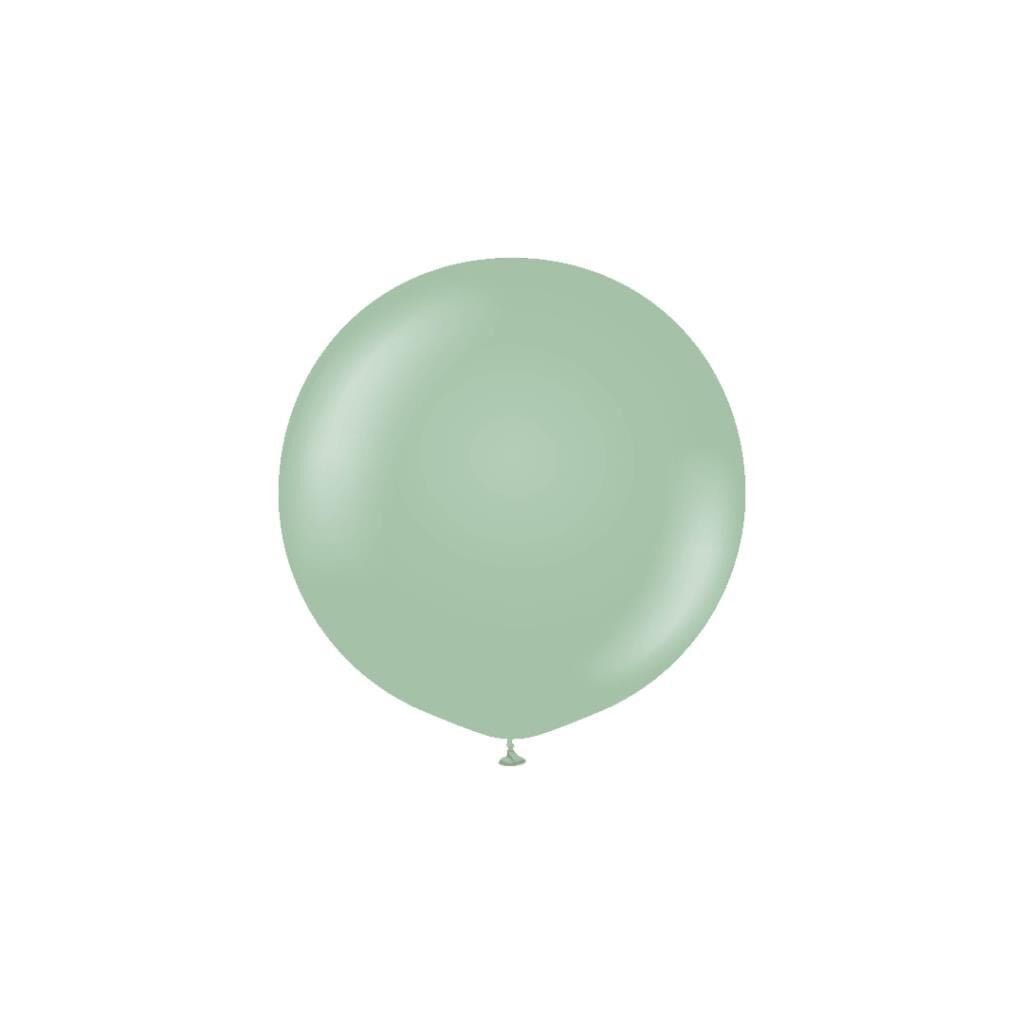 Retro Renk 18'' Balon Kış Yeşili Renk ( 5 Adet )