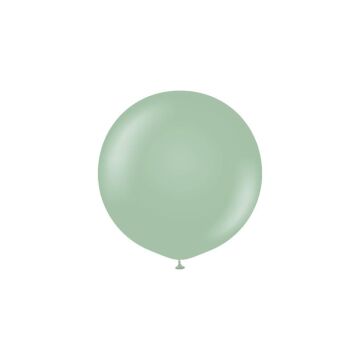 Retro Renk 18'' Balon Kış Yeşili Renk ( 5 Adet )