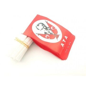 ATATÜRKLÜ TÜRK BAYRAĞI 15*20 CM