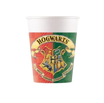 HARRY POTTER HOGWARTS BARDAK