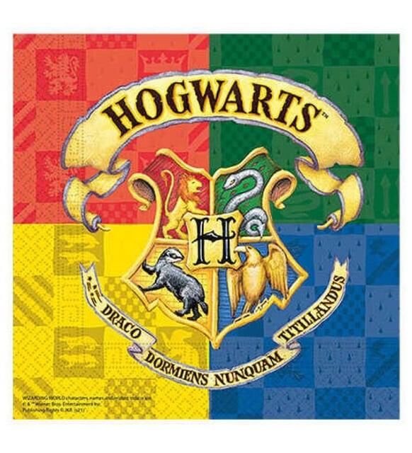HARRY POTTER HOGWARTS PEÇETE