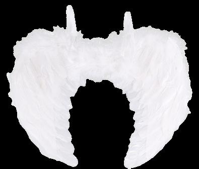 TÜYLÜ MELEK KANADI 60*45 CM