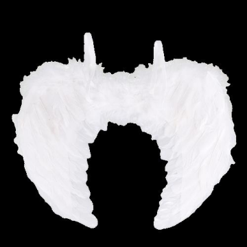 TÜYLÜ MELEK KANADI 60*45 CM